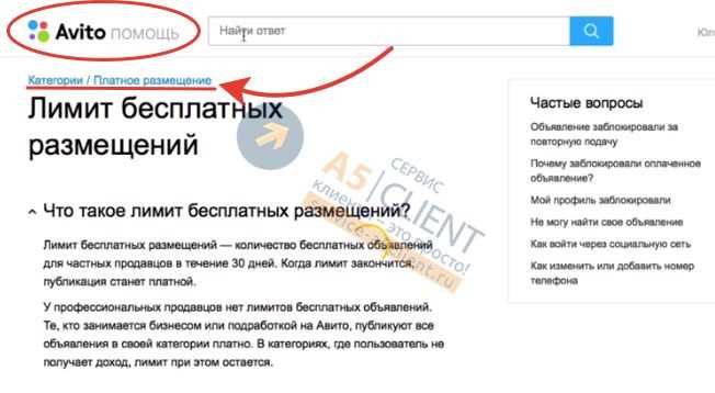 Сколько объявлений на Авито можно размещать бесплатно: ликбез по лимитам