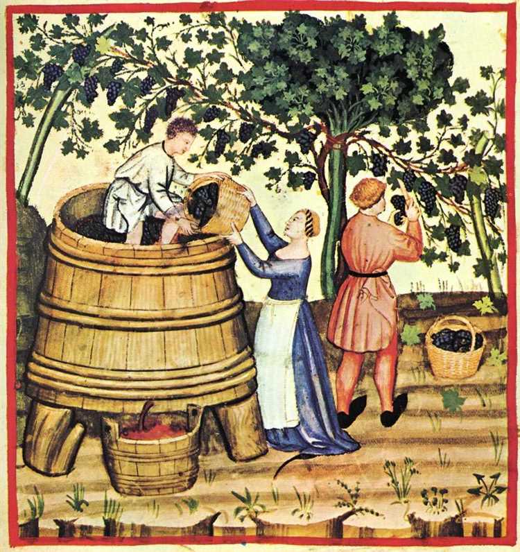 Культурный значения вина в средневековье